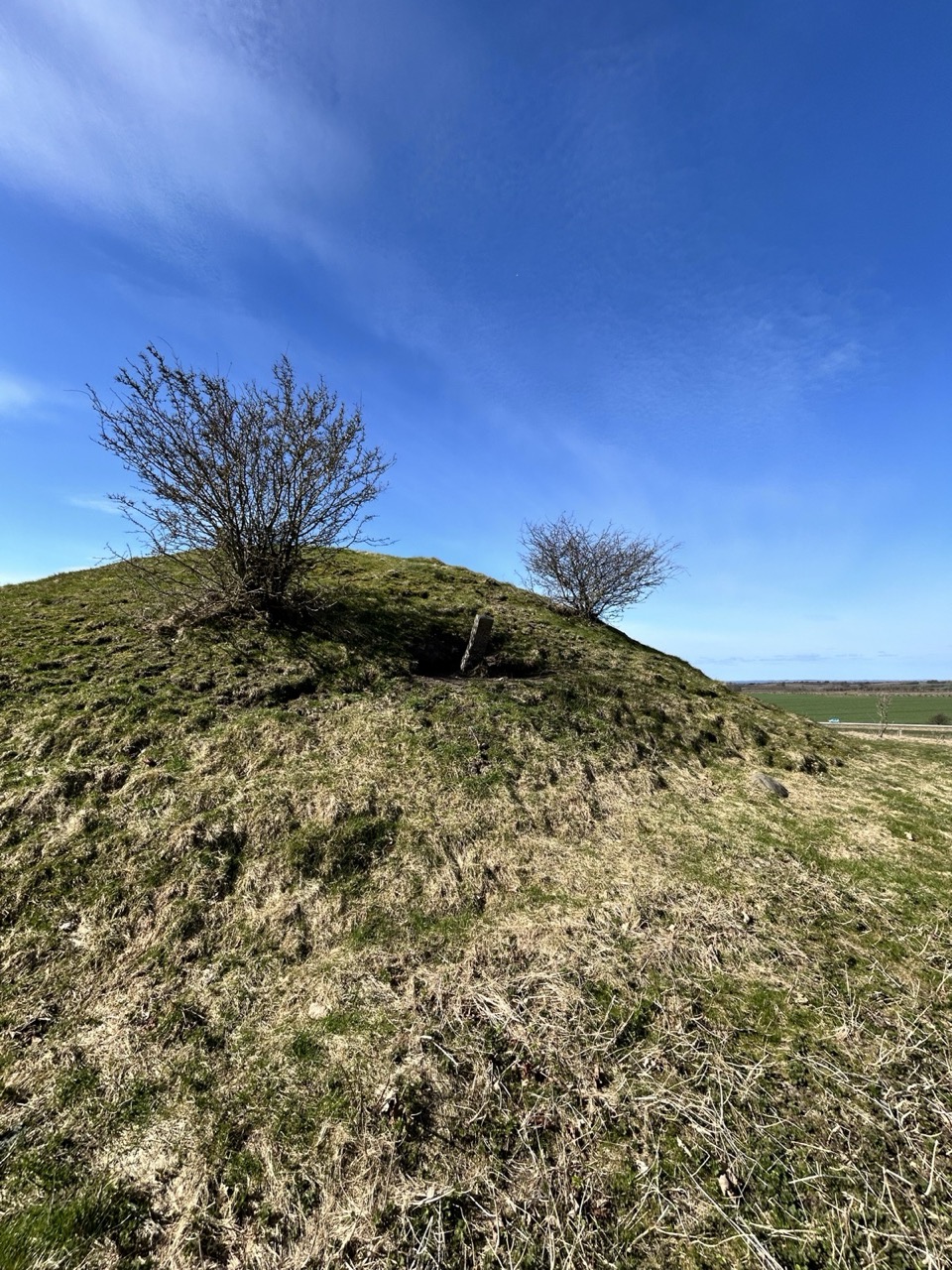 Gro%C3%9F%20%28Threema_2026-04-03_17-03-02%29